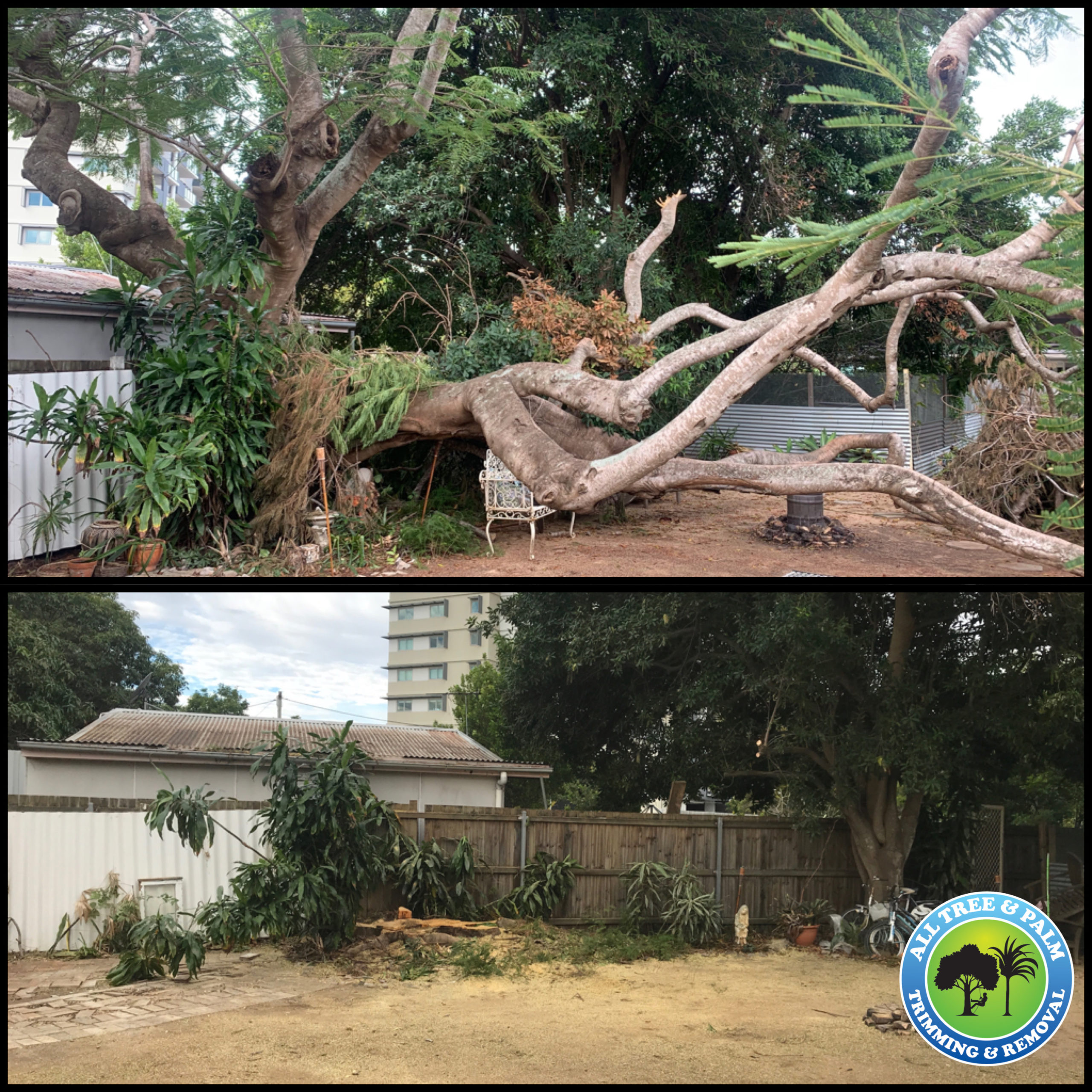 storm damage All Tree And Palm