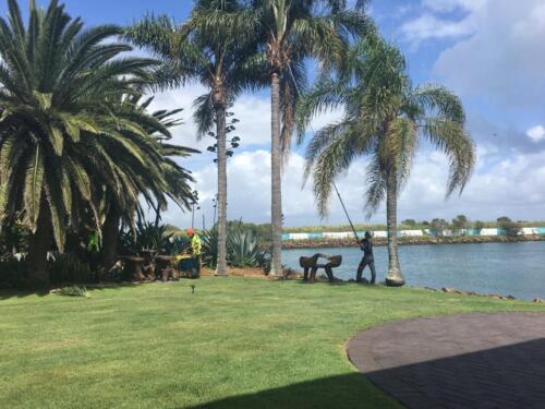Tree Removal Redcliffe